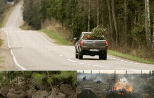 Mitsubishi L200: как мы восстанавливали лес